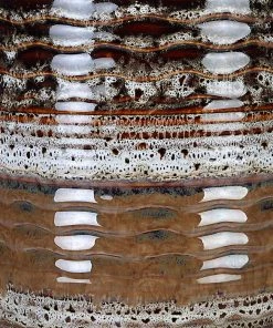 Uttermost Roan Multicolor Ceramic Table Lamp Lamps