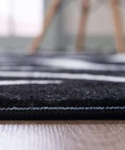 Modern Rugs And Decor Zebra Animal Print Black Area Rug All Area Rugs And Runners