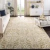 Safavieh Bedding Evoke Collection Non-Shedding Stain Resistant Living Room Bedroom Area Ivory / Gold