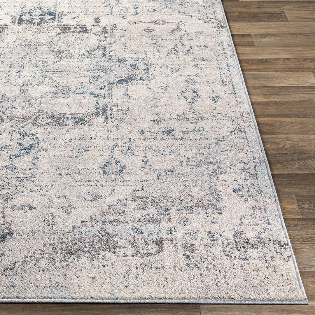 Artistic Eydis Soft Area Rug Pale Blue All Area Rugs And Runners 3 Artistic Eydis Soft Area Rug Pale Blue All Area Rugs And Runners