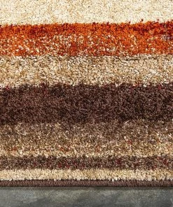 Warm Toned Beige Brown Multi-color Area Rugs