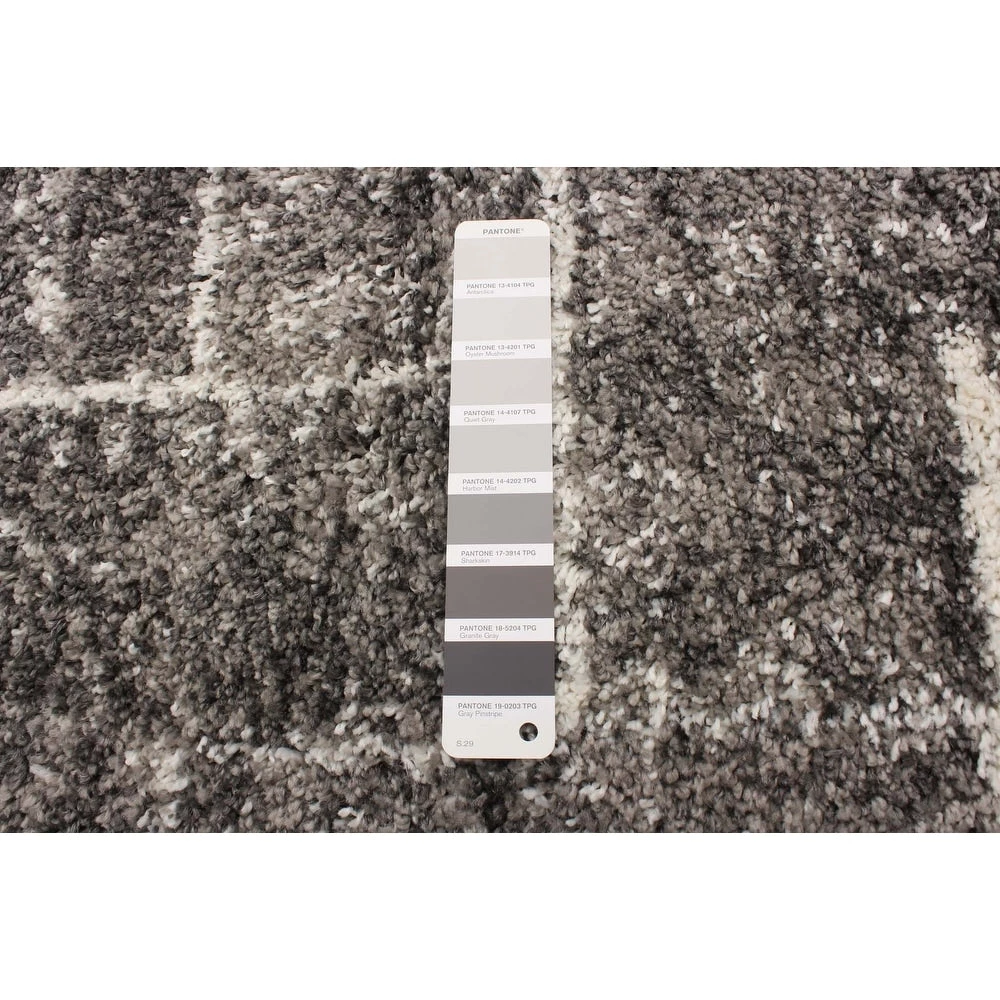 Ecarpetgallery Modern & Contemporary Shag 7 Ecarpetgallery Modern & Contemporary Shag