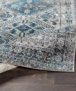 Evry Oriental Distressed Persian Pattern Sky Blue Light Gray Soft Area Rug