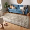 Mohawk Heritage Erma Vintage Grey And Tan Soft Area Rug