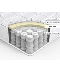 WM Spring 8" Mattress-In-a-Box Furniture