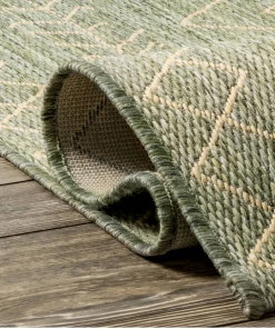 NL Moroccan Tribal Accent Sage Indoor/Outdoor Area Rugs - Durable/Easy Maintenance All Area Rugs And Runners