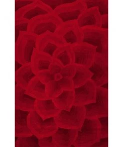 NL Premium Handmade Red Floral Wool Soft Area Rugs 9 NL Premium Handmade Red Floral Wool Soft Area Rugs